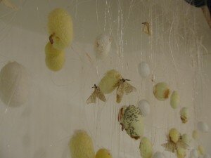 IMG_0396 web